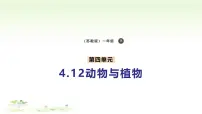 苏教版(2024)一年级下册(2024)动物与植物教课课件ppt