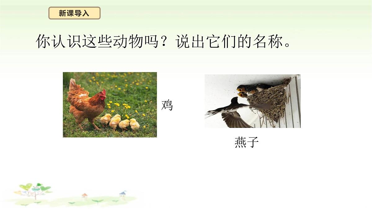 4.12《动物与植物》课件 苏教版(2024)一年级科学下册第4页