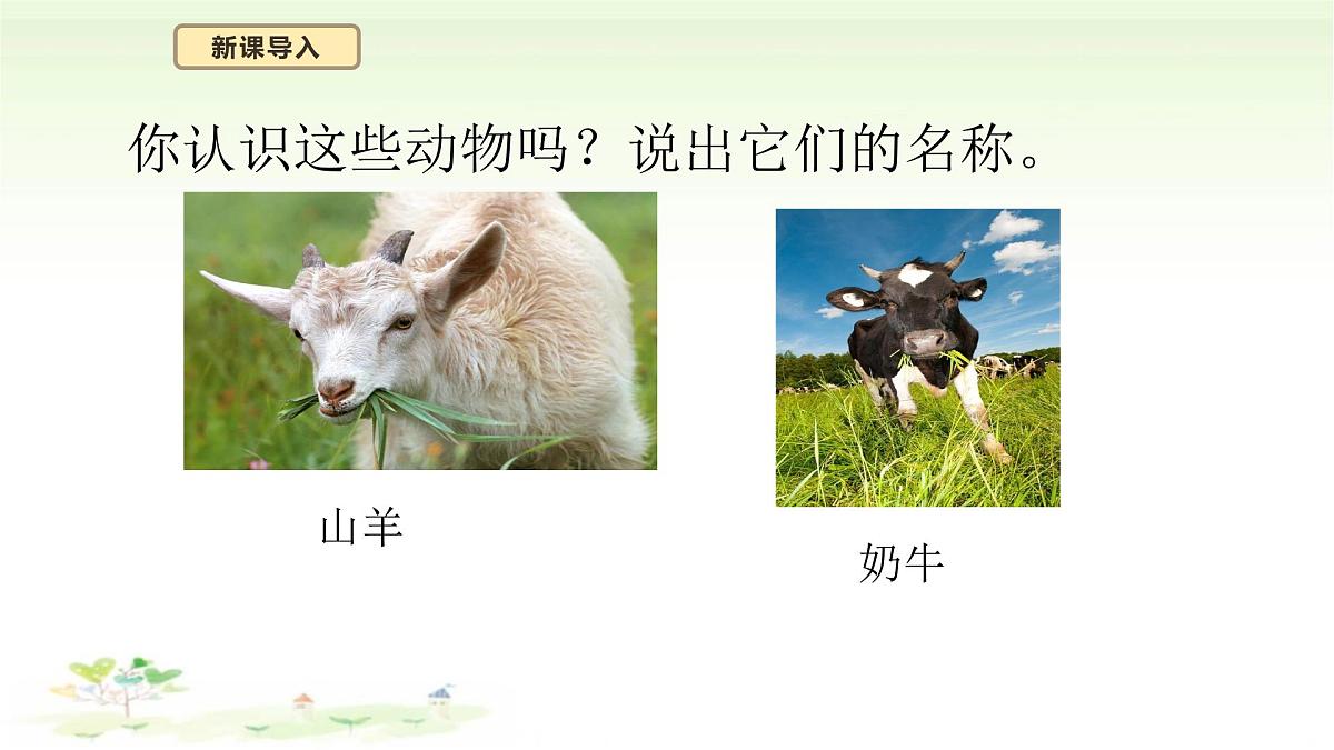4.12《动物与植物》课件 苏教版(2024)一年级科学下册第5页