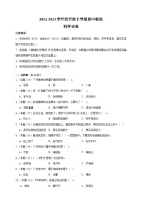 2024-2025学年四年级下学期科学期中模拟试卷（教科版含答案解析）