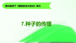 1.7《種子的傳播》課件 教科版科學四年級下冊