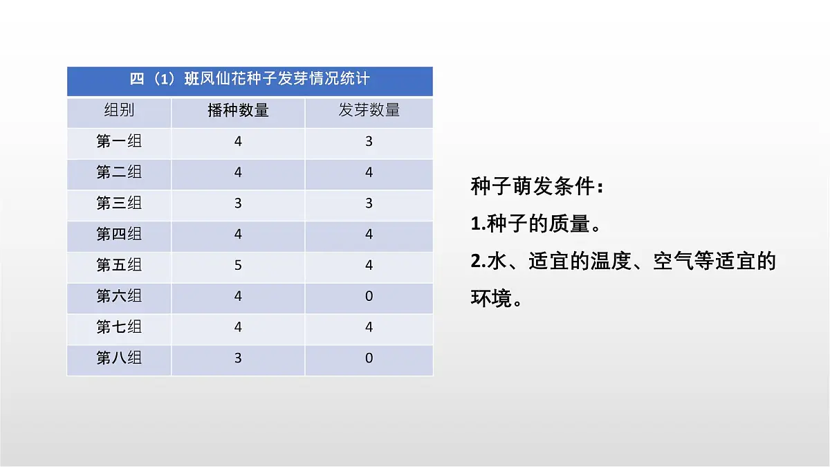 1.3《种子长出了根》课件 教科版科学四年级下册第3页