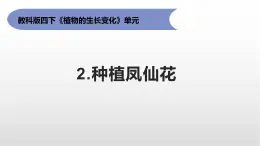 1.2《種植鳳仙花》課件 教科版科學四年級下冊