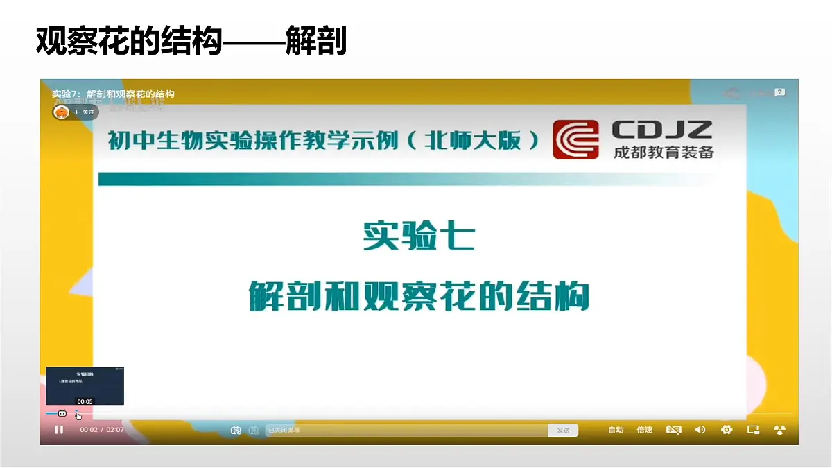 1.5《凤仙花开花了》课件 教科版科学四年级下册第6页