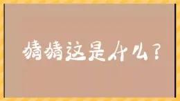 1.3《認(rèn)識(shí)物體的形狀》課件 教科版科學(xué)一年級(jí)下冊(cè)