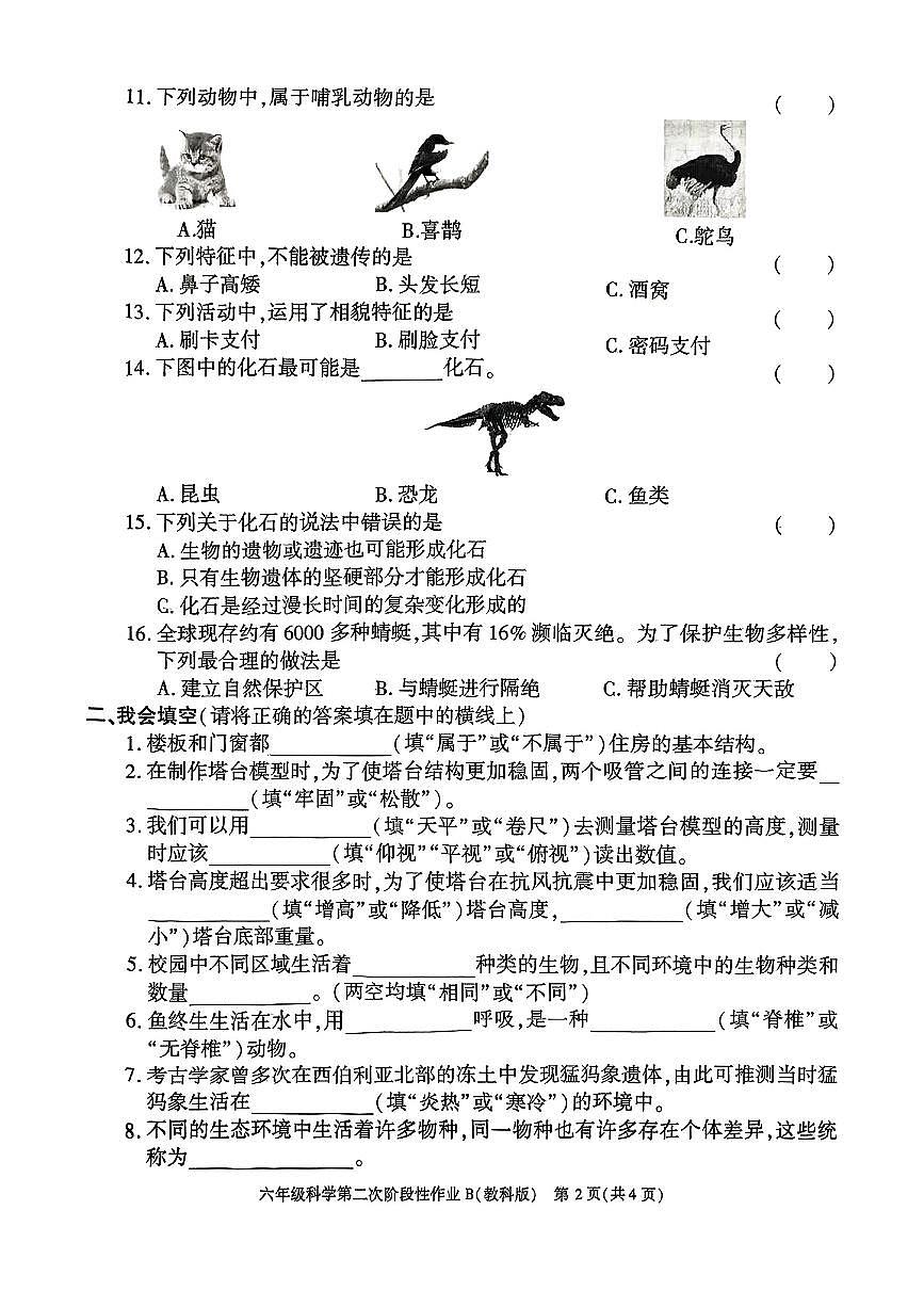 陕西省榆林市榆阳区2024-2025学年六年级下科学期中试卷第2页