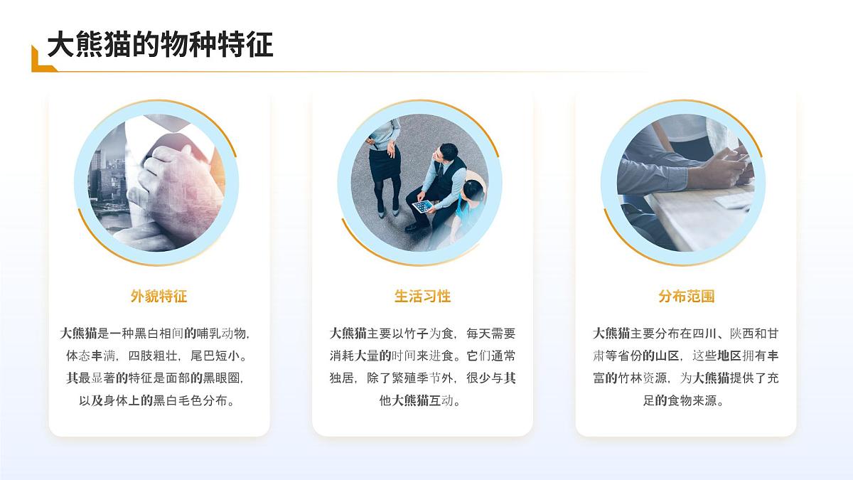 苏教版小学六年级 科学 课件 大熊猫及其栖息地第4页