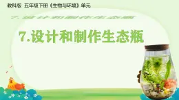 7.《設計和制作生態(tài)瓶》課件 教科版科學五年級下冊