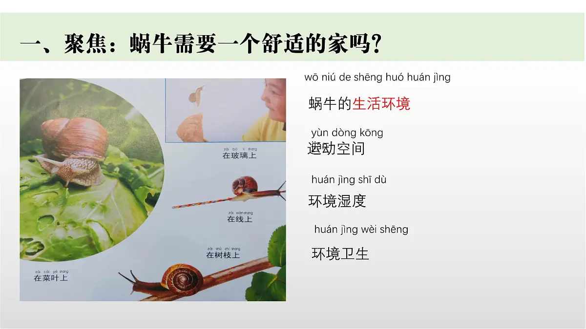 3.《给蜗牛建个“家”》课件 教科版科学一年级下册第2页