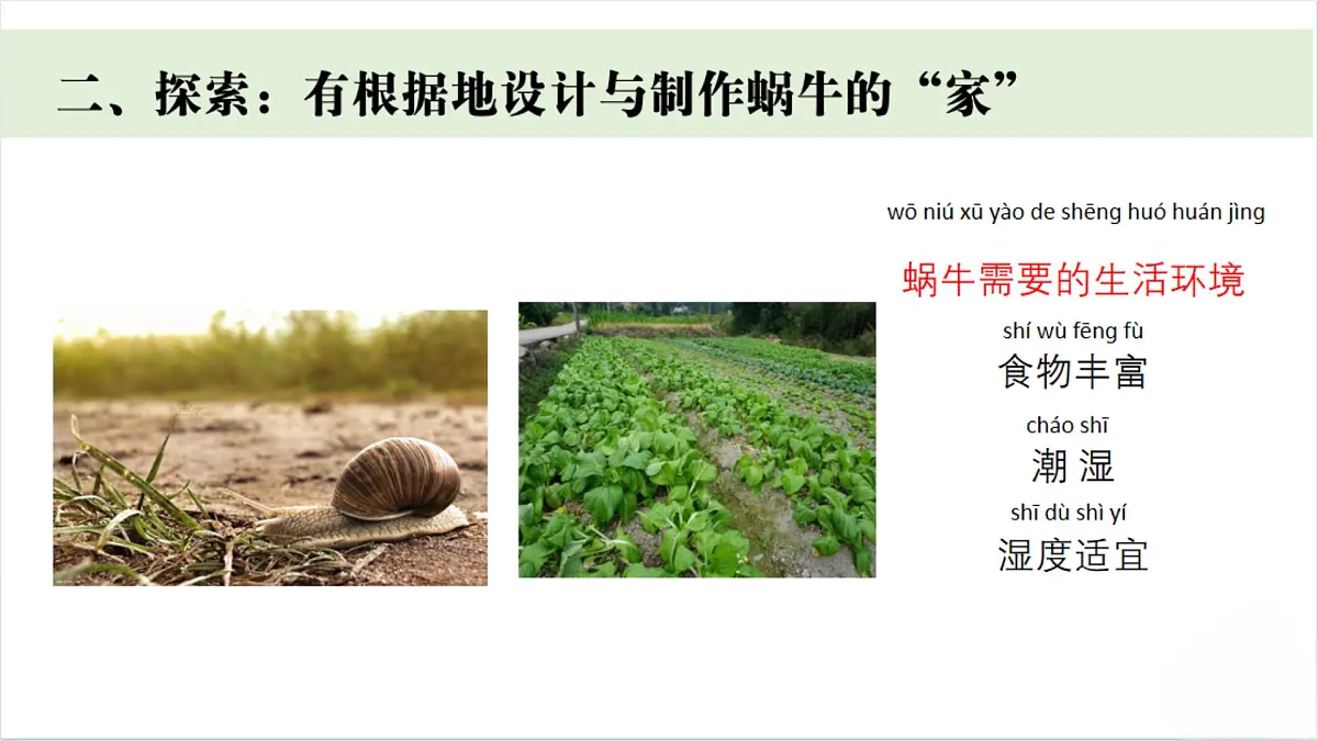 3.《给蜗牛建个“家”》课件 教科版科学一年级下册第3页