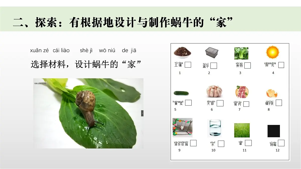 3.《给蜗牛建个“家”》课件 教科版科学一年级下册第4页