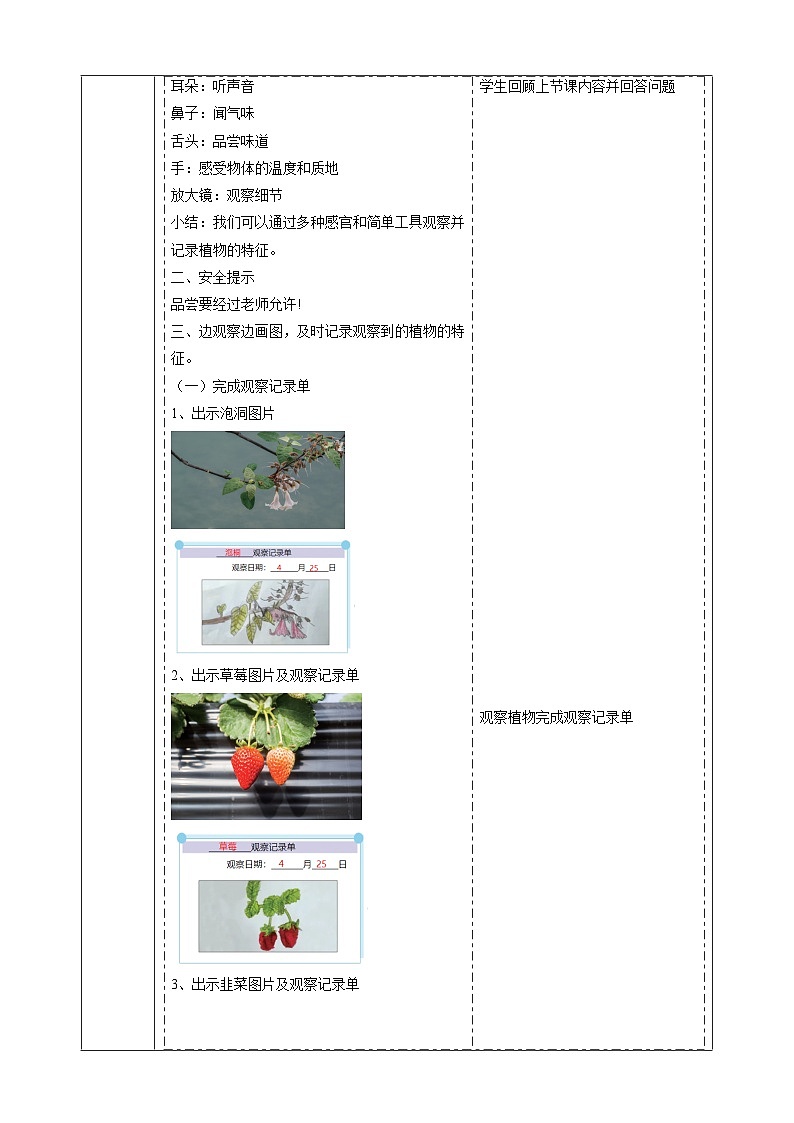 【大單元教學(xué)】3.2《常見植物的特征》課時教案第3頁