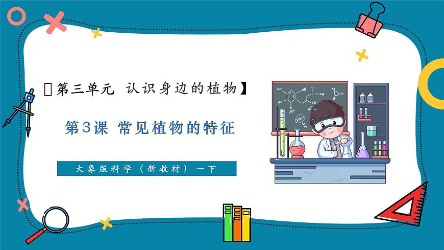 【大單元教學(xué)】3.2《常見植物的特征》課時課件第1頁