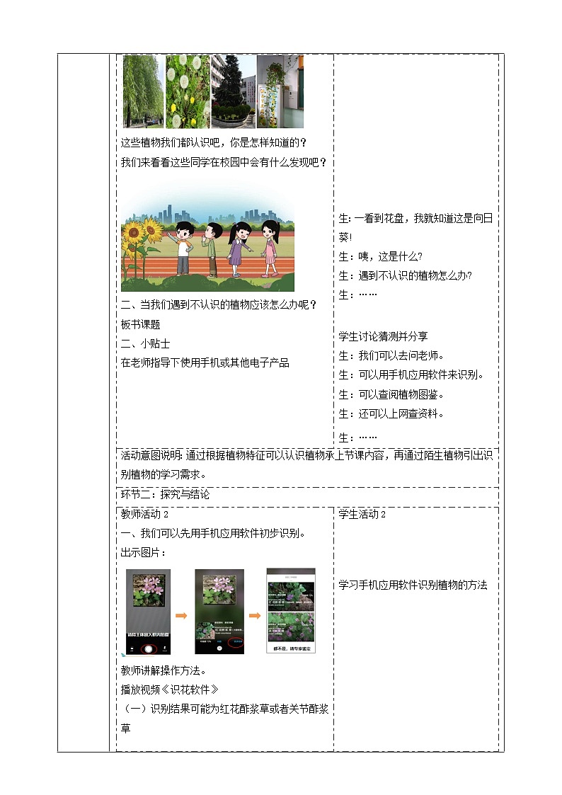 【大單元教學】3.3《識別植物》課時教案第2頁