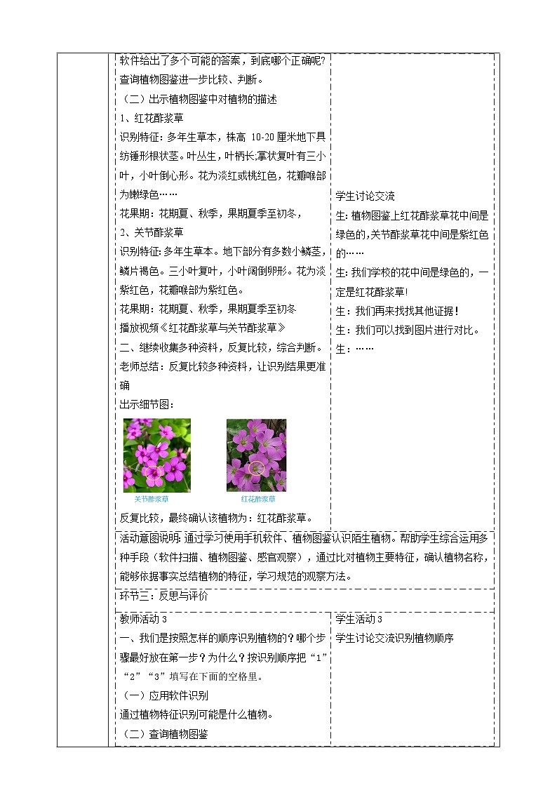 【大單元教學】3.3《識別植物》課時教案第3頁