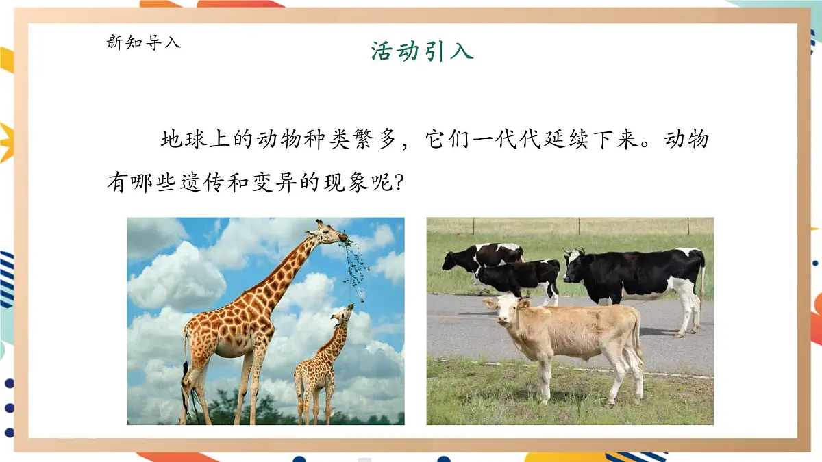【大单元整体教学】4.2《动物的遗传和变异》课时课件第5页