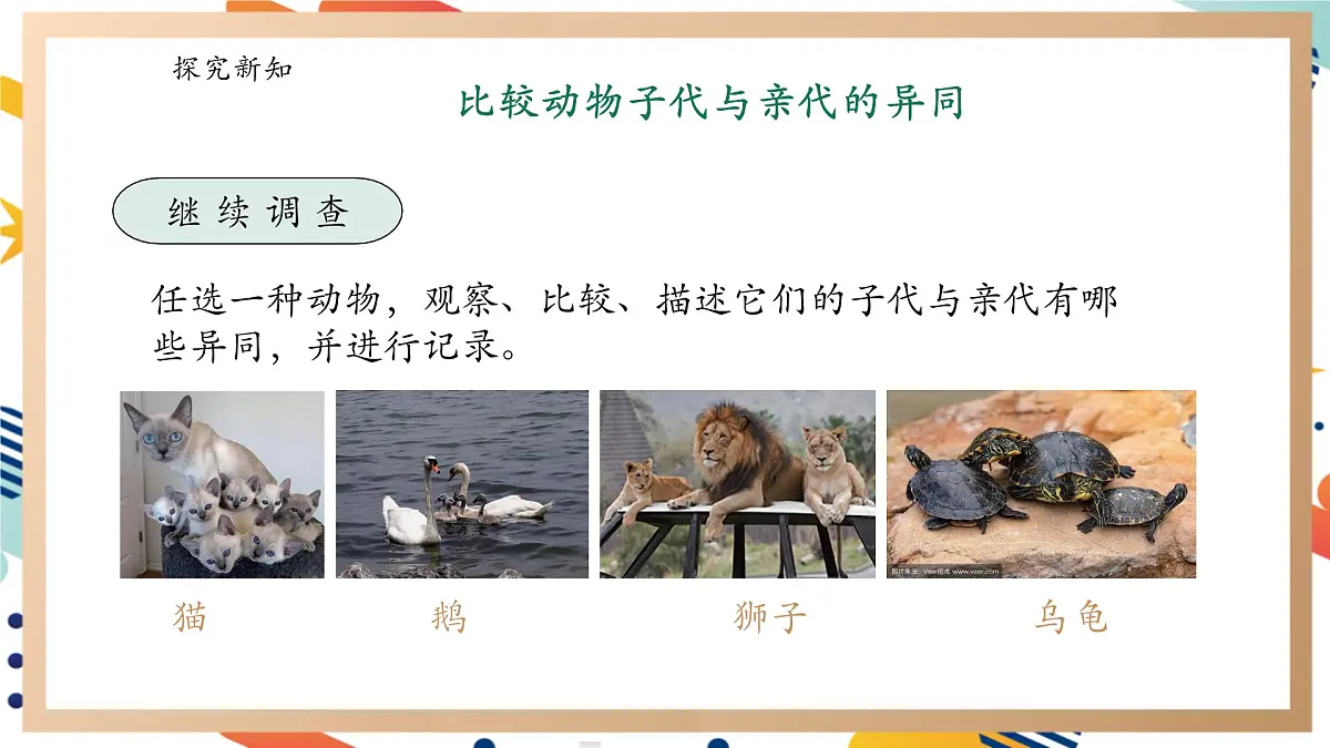 【大单元整体教学】4.2《动物的遗传和变异》课时课件第8页