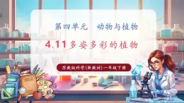 【核心素養(yǎng)優(yōu)質(zhì)課】蘇教版一年級下冊科學(xué)4.11《多姿多彩的植物》（教學(xué)課件+同步教案含反思）