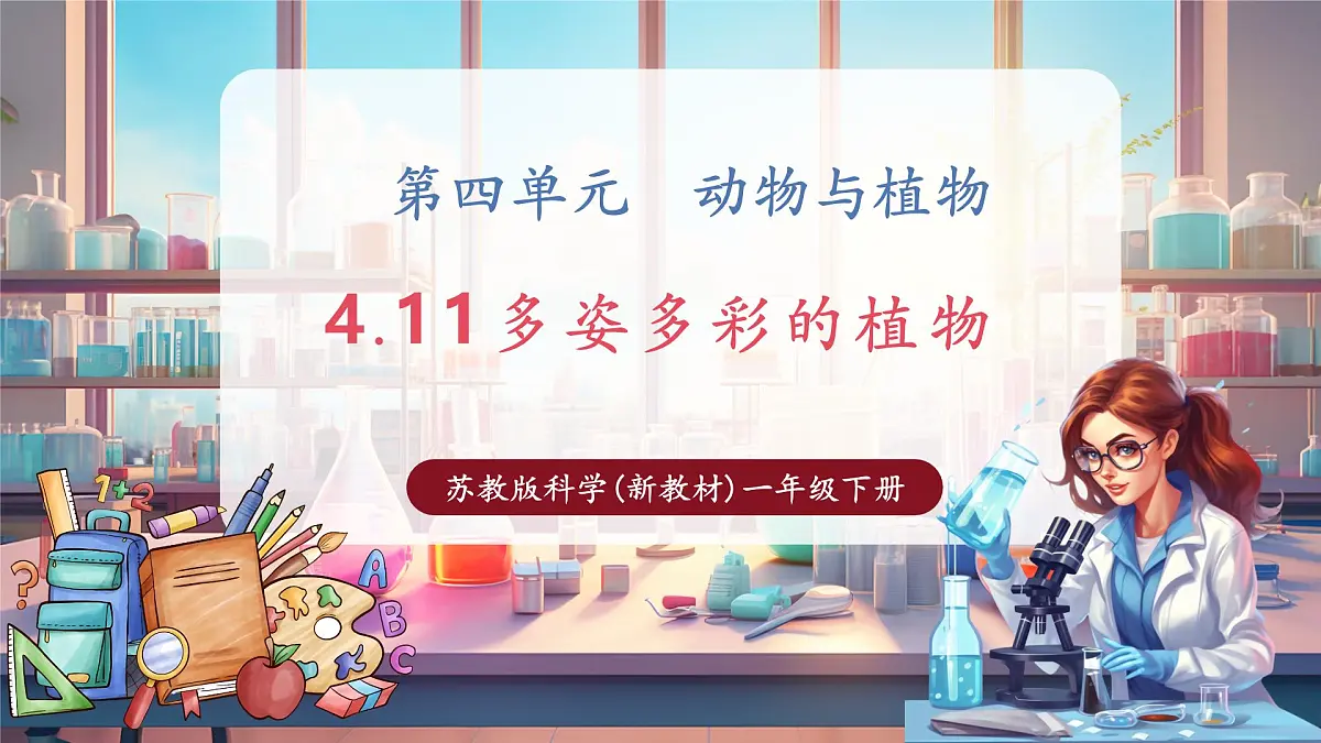 【核心素养】苏教版(新教材)科学一下4.11《多姿多彩的植物》课件(16张PPT)第1页