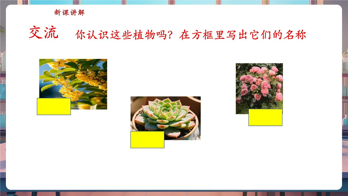 【核心素养】苏教版(新教材)科学一下4.11《多姿多彩的植物》课件(16张PPT)第5页