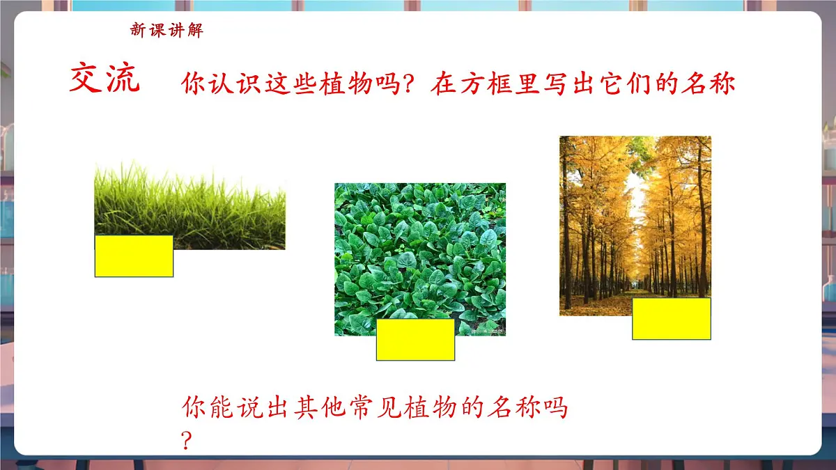 【核心素养】苏教版(新教材)科学一下4.11《多姿多彩的植物》课件(16张PPT)第6页