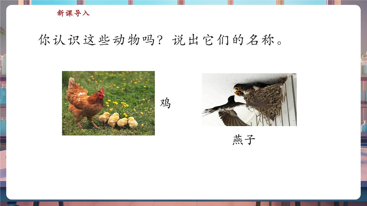 【核心素养】苏教版(新教材)科学一下4.12《动物与植物》课件(20张PPT)第3页