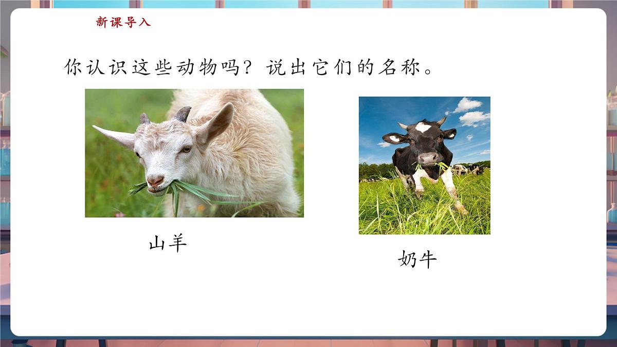 【核心素养】苏教版(新教材)科学一下4.12《动物与植物》课件(20张PPT)第4页