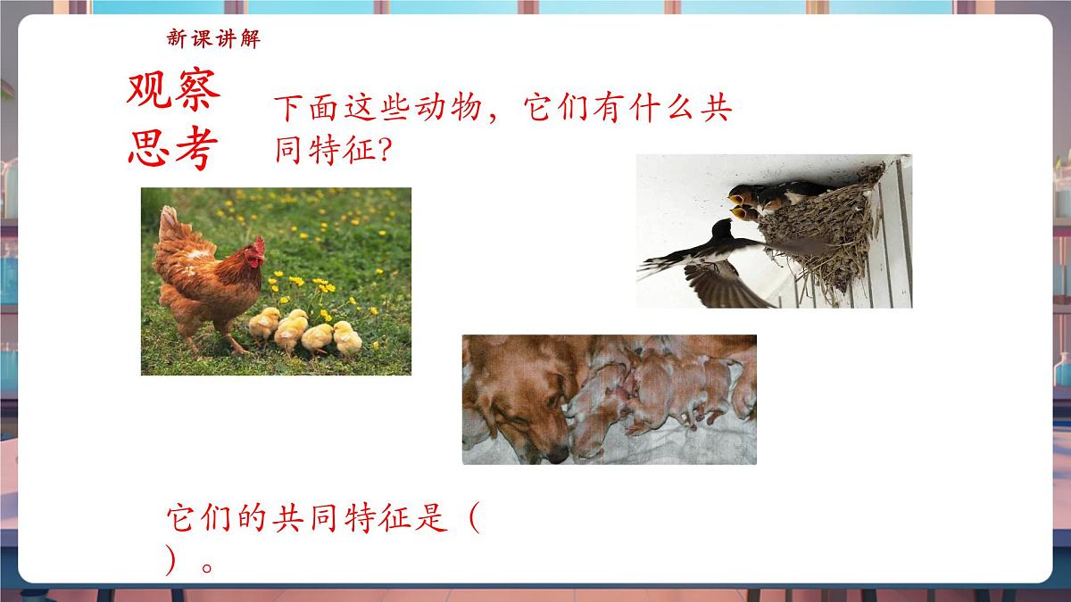 【核心素养】苏教版(新教材)科学一下4.12《动物与植物》课件(20张PPT)第5页
