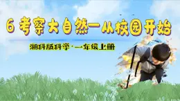 （2024）新版湘科版科學(xué)一年級(jí)上冊(cè)（6） 考察大自然-從校園開(kāi)始-PPT課件