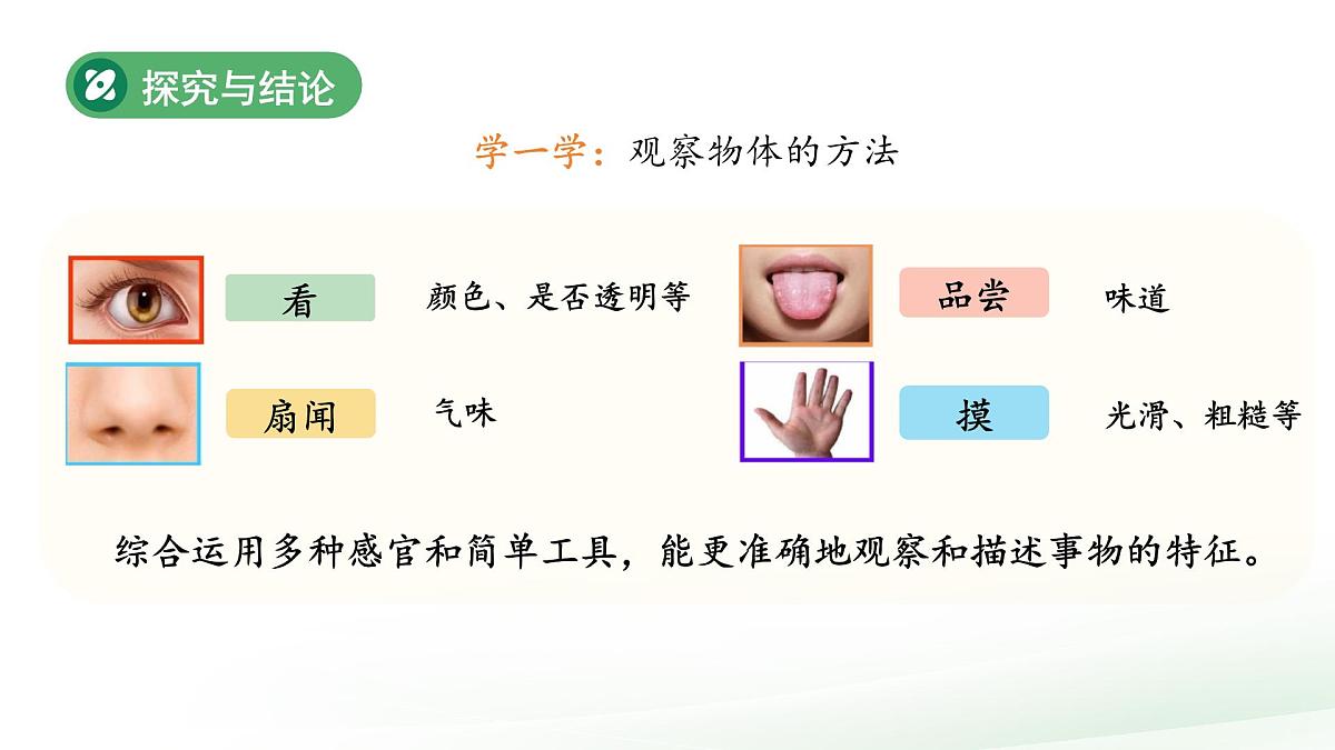 1.3 水的特征 课件 2024-2025学年科学一年级下册大象版(2024)教案第5页