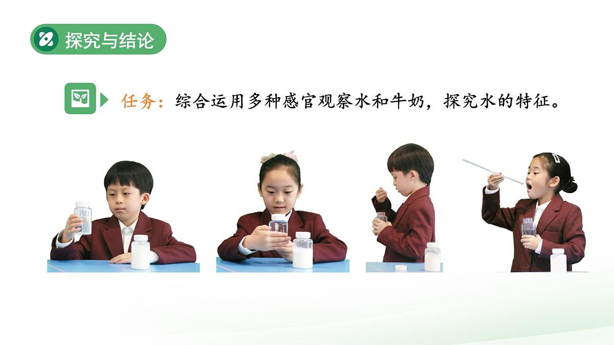 1.3 水的特征 课件 2024-2025学年科学一年级下册大象版(2024)教案第6页