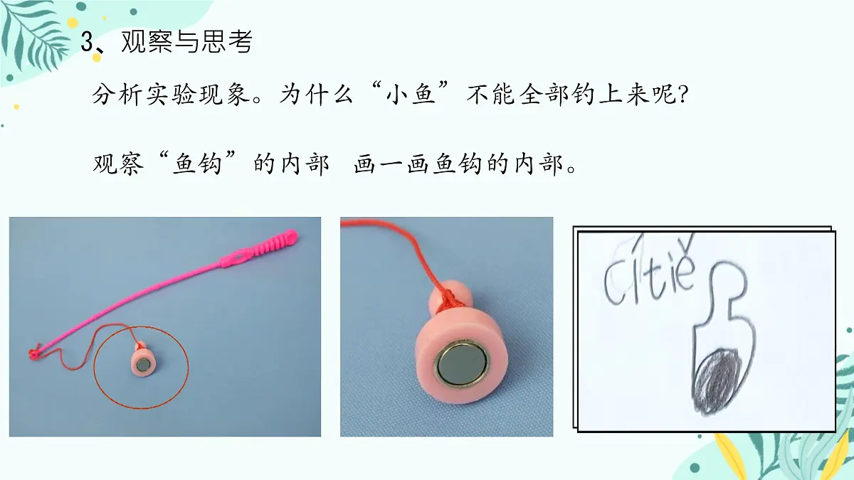 人教鄂教版小学科学一年级上册 1.“钓鱼”游戏_课件第7页