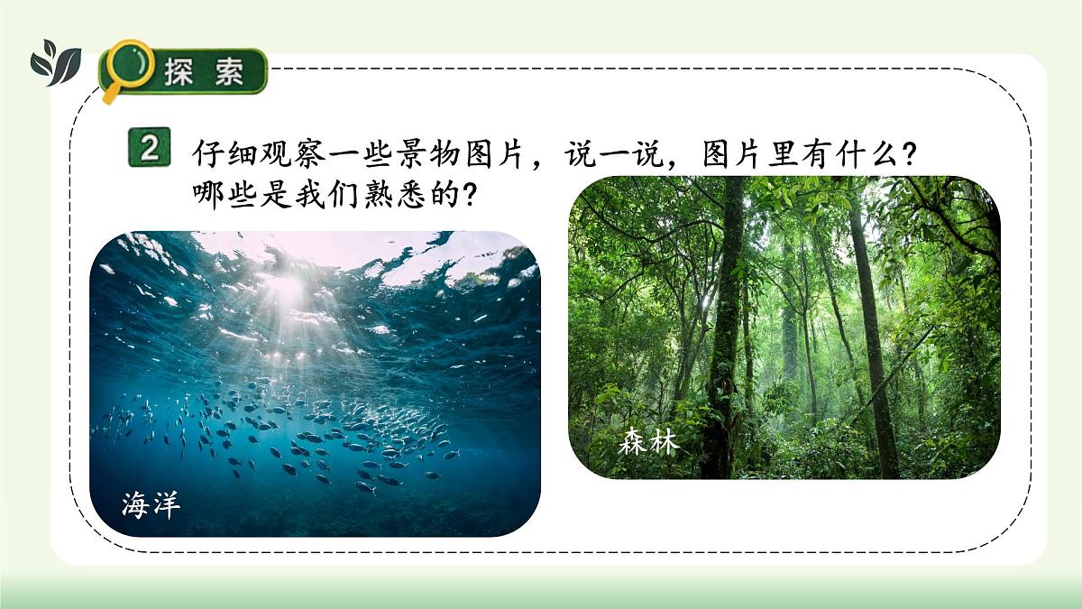 【核心素养】教科版小学科学 二年级上册 2.1 地球家园有什么 课件第7页
