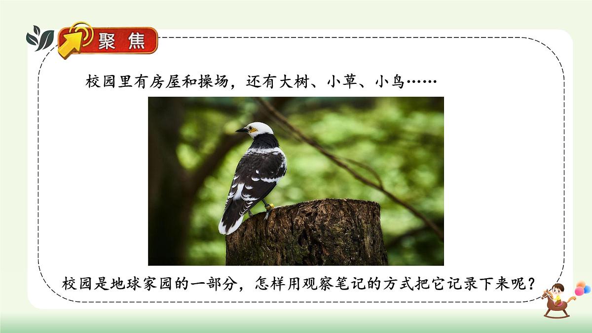 【核心素养】教科版小学科学 二年级上册 2.2 我们的校园 课件第4页