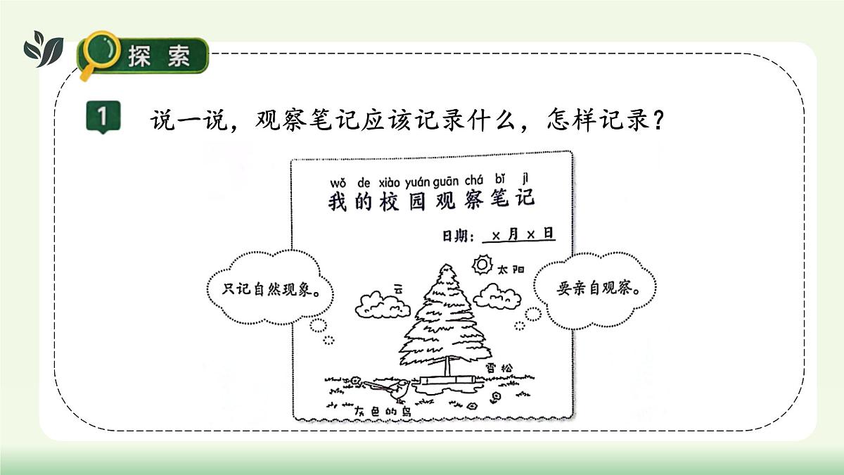 【核心素养】教科版小学科学 二年级上册 2.2 我们的校园 课件第6页