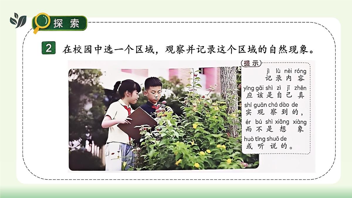 【核心素养】教科版小学科学 二年级上册 2.2 我们的校园 课件第7页
