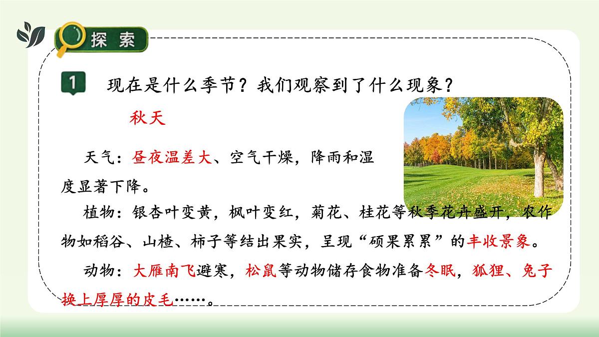 【核心素养】教科版小学科学 二年级上册 2.5 不同的季节 课件第6页