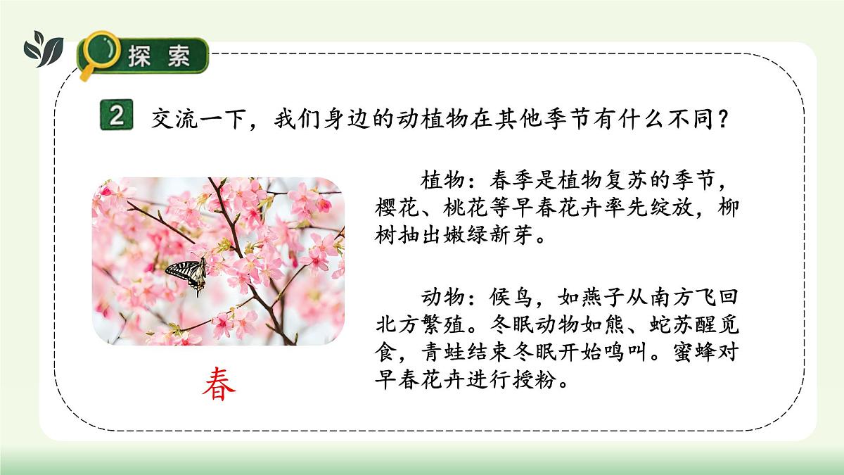 【核心素养】教科版小学科学 二年级上册 2.5 不同的季节 课件第7页