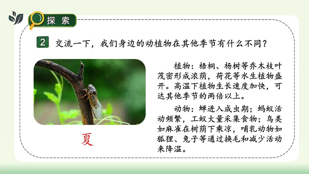 【核心素养】教科版小学科学 二年级上册 2.5 不同的季节 课件第8页