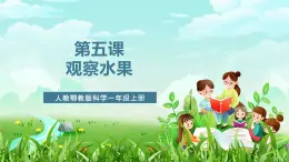 人教鄂教版科學(xué)一年級(jí)上冊(cè)第五課《觀察水果》課件+教案+任務(wù)單