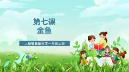 人教鄂教版科學(xué)一年級(jí)上冊(cè)第七課《金魚》課件+教案+任務(wù)單