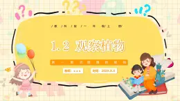 新教材-教科版-小學(xué)科學(xué) 一年級上冊 1.2 觀察植物 課件