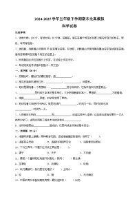 2024-2025学年五年级科学下学期期末全真模拟试卷（苏教版+含答案解析）