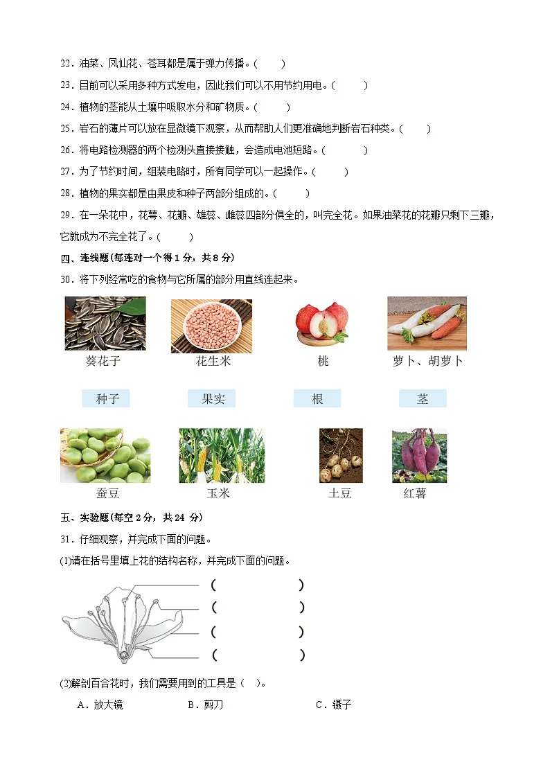 2024-2025学年四年级科学下学期期末全真模拟试卷(教科版+含答案解析)第3页
