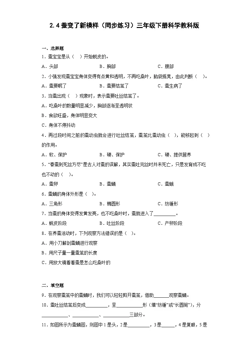 教科版(2017秋)三年级下册2.4蚕变了新模样 同步练习 (含答案)第1页