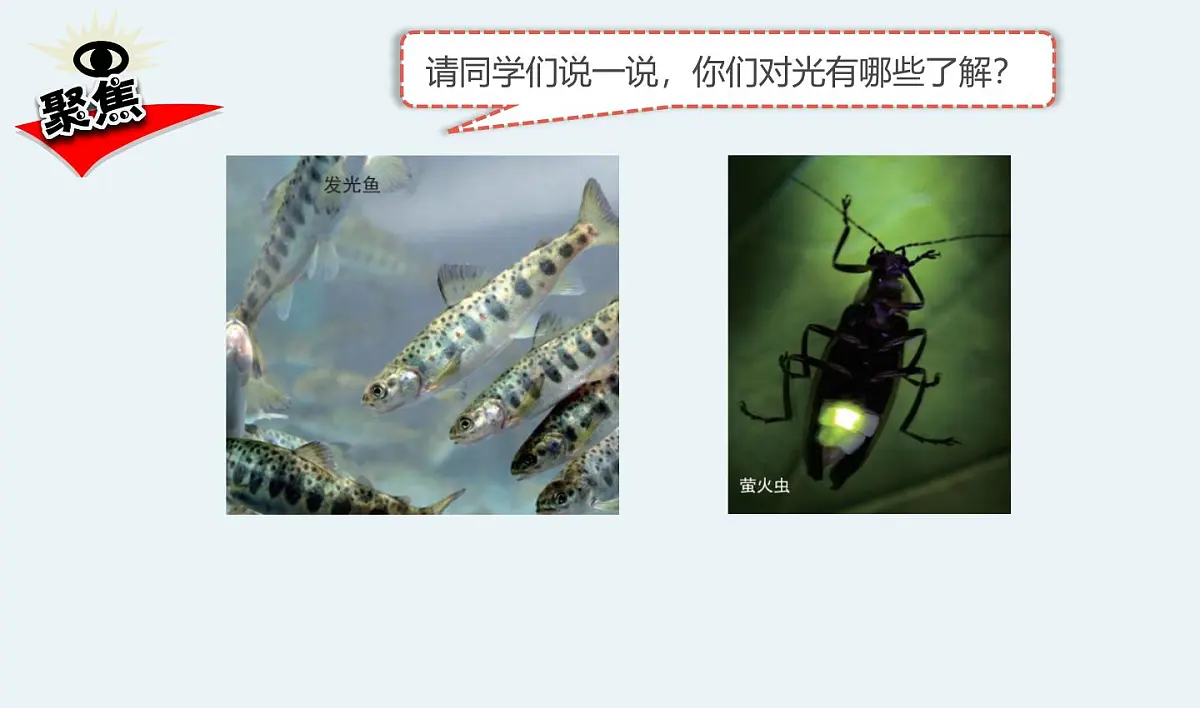 教科版小学科学五年级上册1-1《有关光的思考》课件第4页