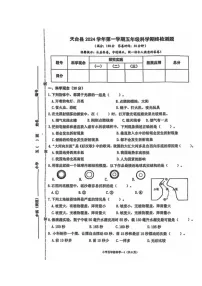 浙江省台州市天台县2024-2025学年五年级上学期期末科学试卷