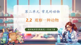 【核心素養(yǎng)優(yōu)質(zhì)課】教科版一年級下冊科學2.2 觀察一種動物（教學課件+同步教案）