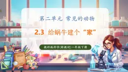 【核心素養(yǎng)優(yōu)質(zhì)課】教科版一年級下冊科學2.3 給蝸牛建個“家”（教學課件+同步教案）