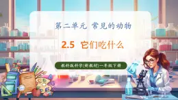【核心素養(yǎng)優(yōu)質(zhì)課】教科版一年級下冊科學2.5 它們吃什么（教學課件+同步教案）